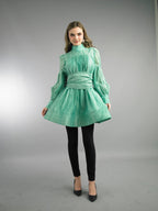 Long Sleeve Short Length Dress