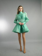 Long Sleeve Short Length Dress